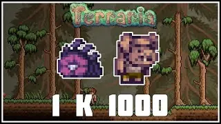 Террария 1.4.3 - редчайший питомец
