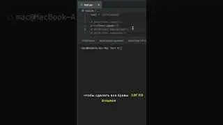 Работа с регистрами в Python за 1 МИНУТУ. Как редактировать текст в Python. Python для начинающих