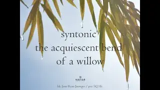naviarhaiku465 - syntonic