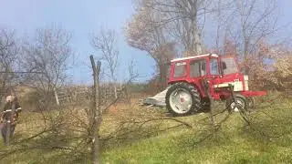 Sljivik kod Paje