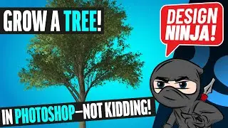 Grow A Tree in Photoshop CC (Not Kidding)!