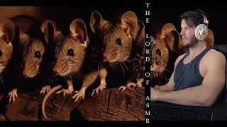 ASMR - Facts about Mice - Whispering