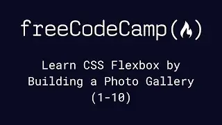 freeCodeCamp -  Learn CSS Flexbox by Building a Photo Gallery (1-10)