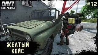 12 Серия | Желтый кейс | НЕУДЕРЖИМЫЕ - 3 Сервер | Stalker PVP | DayZ 1.21 | Лето