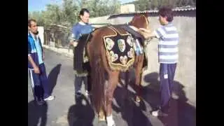 Peña Caballista Cortijero, como se toman medidas a un Caballo para enjaezar