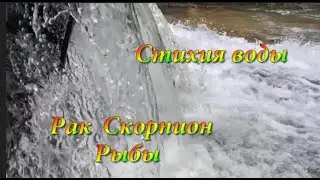 Гороскоп на ноябрь 2024 года! .Стихия воды: Рак,  Скорпион, Рыбы