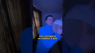 1000 лайков - ролик про кота Василия 🐈‍⬛ 