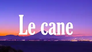 MUTİ - LE CANE feat. UZİ x CRİTİCAL x HEİJAN ( Sözleri/Lyrics ) │ C Vuruş 🎶