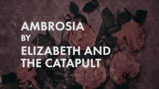 Elizabeth and the Catapult - Ambrosia (Official Lyric Video)