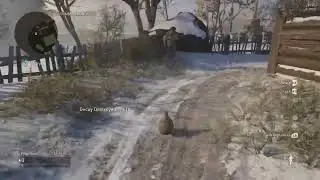 Trolling on cod ww2 prop hunt