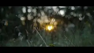 my camera broke after shooting this...