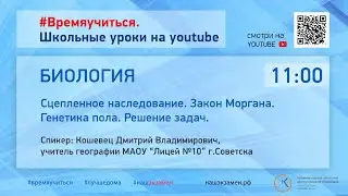Биология. Сцепленное наследование. Закон Моргана. Генетика пола. Решение задач