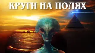 КТО ЖЕ РИСУЕТ КРУГИ НА ПОЛЯХ? [РАЗРУШИТЕЛИ МИФОВ]
