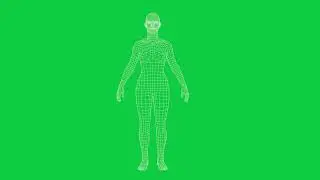 Wireframe Green Screen: Rotating Male and Female | Futuristic Visuals