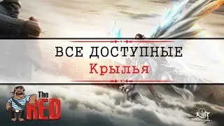 Revelation Online #13 - ВСЕ ДОСТУПНЫЕ КРЫЛЬЯ на персонажей. Обзор
