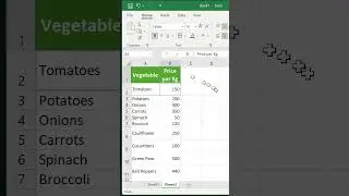 How to Use Format Painter Tool in Excel | Quick Excel Tips 