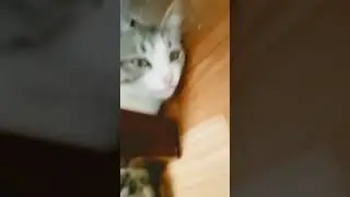 сколько лет если прибавить 15?