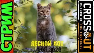 CROSSOUT  даМка!