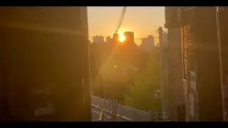 Teller Seoul South Korea 2024