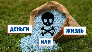 Больше никогда не буду удобрять этим