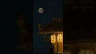 Japanese lantern are so beautiful #japan