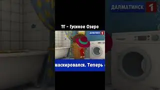 Маскировка! #новости #мем #мемы #прикол #приколы #юмор #шортс #тренд #тренды #реки