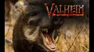 Valheim, Как приручить кабана?