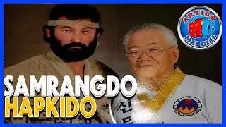 👊Chris Garland Samrangdo Hapkido
