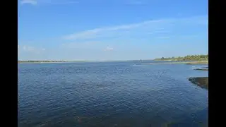 Hiking the Volga River and Volga-Akhtuba floodplain Birdwatching Наблюдение за птицами