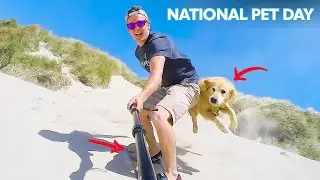 Surfing, Snowboarding & ﻿More | National Pet Day | People Are Are Awesome