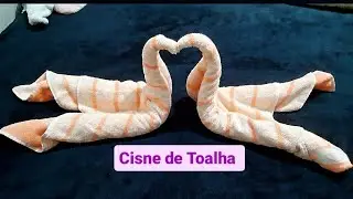 Como fazer Cisne de Toalha