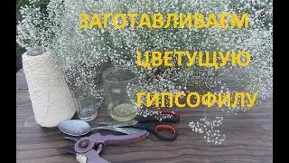 WE PRESERVE TERRY GYPSOPHILA IN THREE WAYS!!!