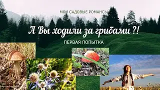Мои садовые романсы. А вы ходили за грибами?! Часть первая.
