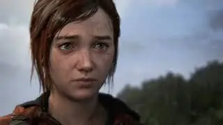 The Last of Us 2*
