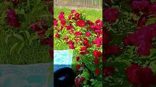 91. Чтобы не загнуться,  нужно...