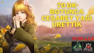 Bdo alchemy