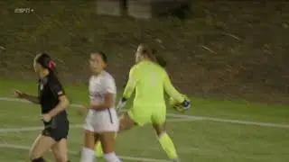 WSOC | USF vs. Gonzaga Highlights
