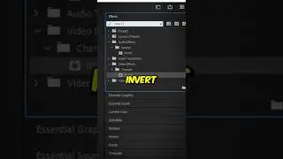 How To Invert Colors in Premiere Pro