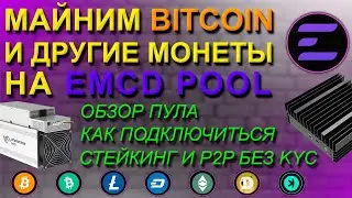 ОБЗОР МАЙНИНГ ПУЛА EMCD |  СТЕЙКИНГ И P2P БЕЗ KYC | КАК ПОДКЛЮЧИТЬСЯ И НАЧАТЬ МАЙНИТЬ НА EMCDPOOL