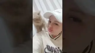 кот встретил после суток