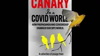 Elizabeth Woodsworth Chapter 6 audio sample: COVID-19 and the Shadowy “Trusted News Initiative”