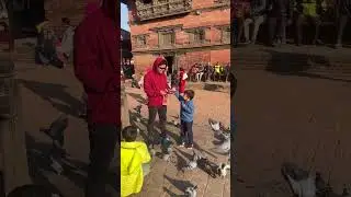 Babachora PATAN DURBAR SQUARE @HimalayanTigerFamily