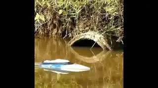 you got it..RC FISHING,..❤
