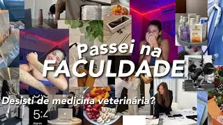PASSEI NA FEDERAL ( desisti de medicina veterinária?) dicas de estudos + papo real