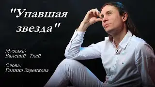 Дмитрий Анисимов — Упавшая звезда