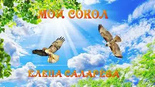 МОЙ СОКОЛ  Исполняет Елена