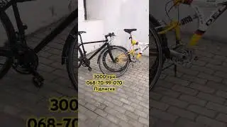 Ровер з Німеччини