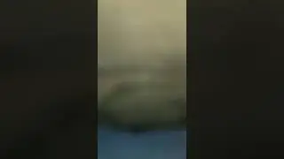 Зеницу играет Рамштайн 🤣 