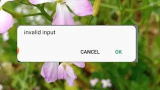 #invalidinput