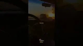 Tarcísio do acordeon - Pra vaqueijada eu vou (Letra | Status)